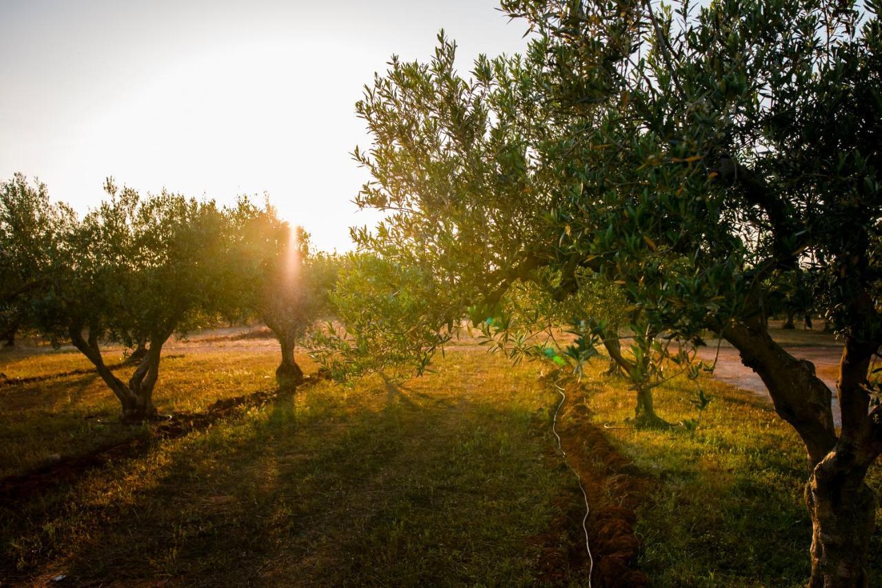 Baglio Custera Ξενοδοχείο Μαρσάλα Εξωτερικό φωτογραφία
